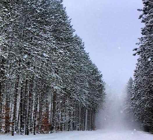 Michigan Bucket List 5 Ideas For A Winter Date Night In Mid