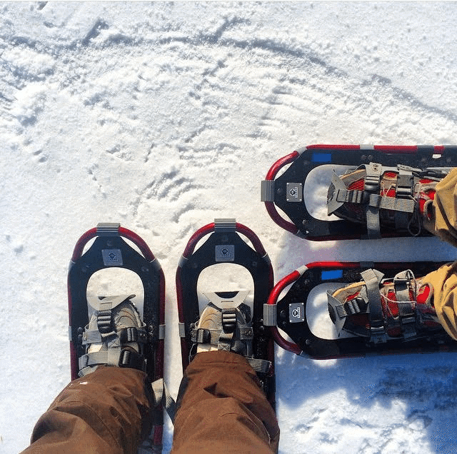 ️ 20+ Cosas que hay que hacer en Michigan en invierno [actualizado 2021