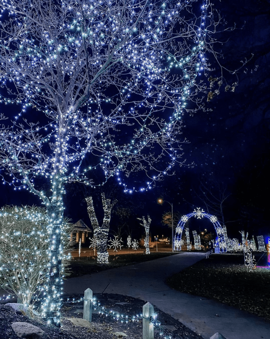 [UPDATED 2024] List of BEST Christmas Lights in Michigan