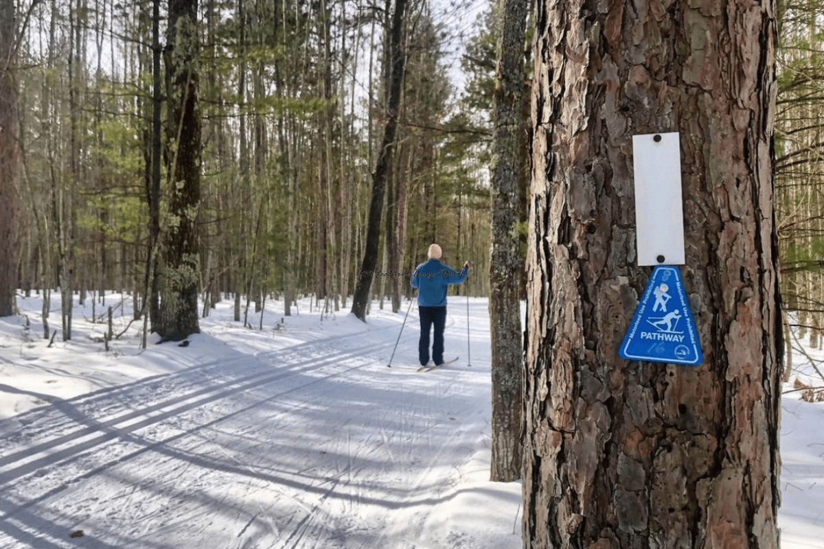 16 Fantastic Northern Michigan Cross Country Ski Trails With Views