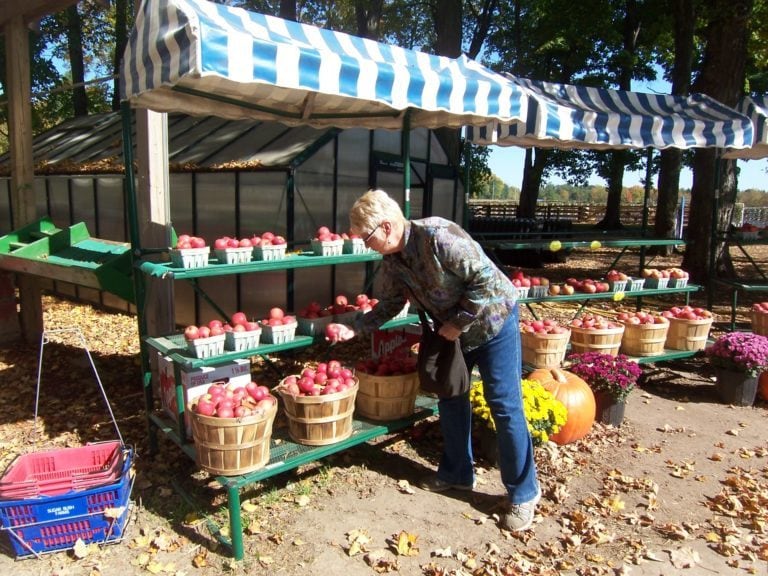 8 Best Fall Apple Festivals in Michigan in 2024