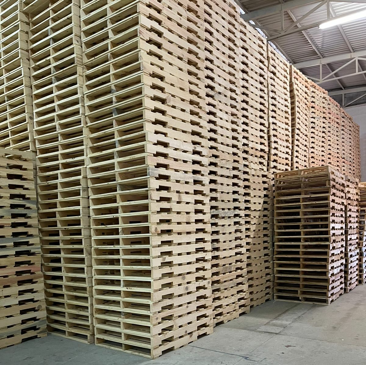 Tarima de Medida Especial AXP Pallets