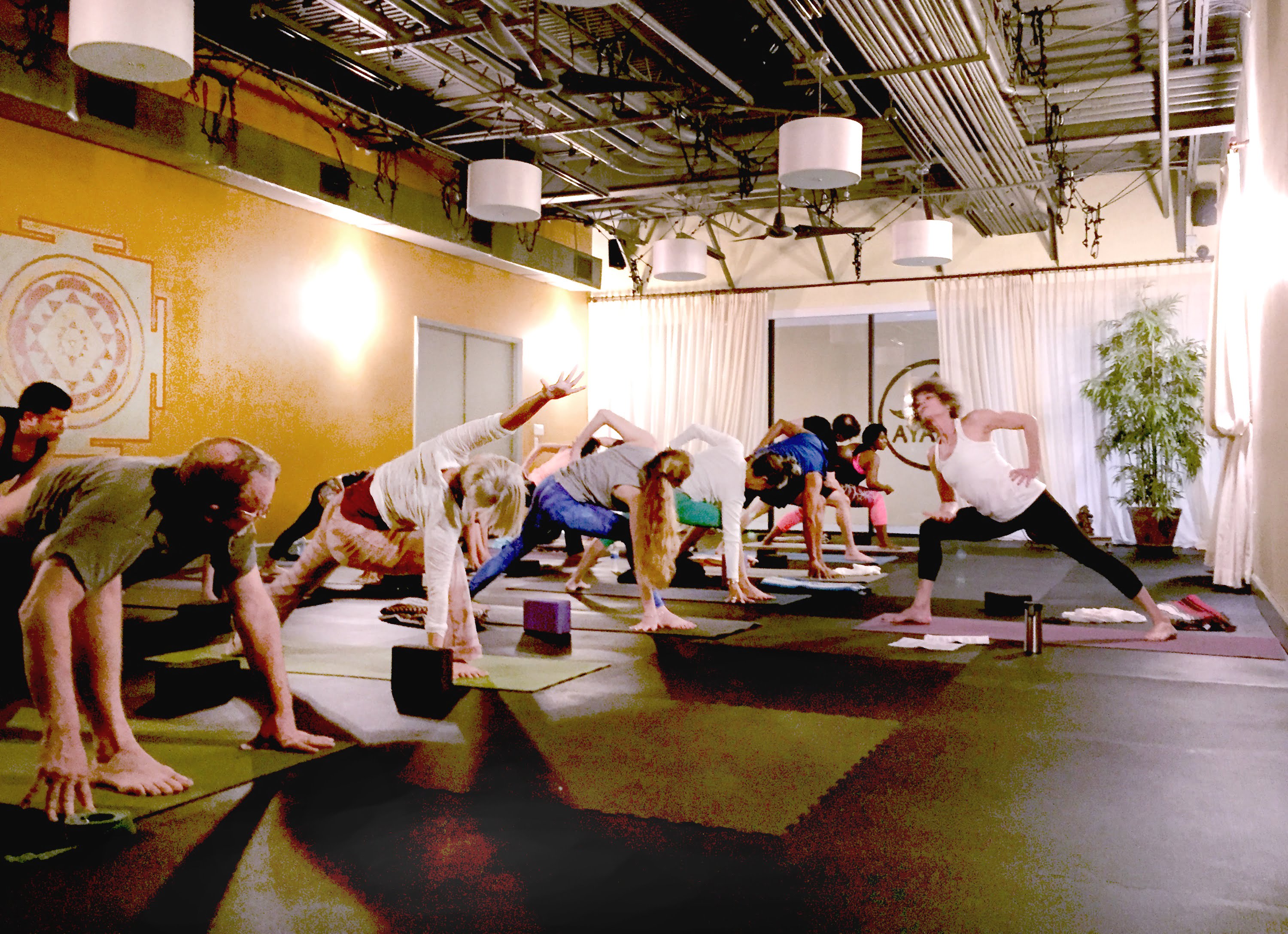 Align & Flow Ayama Yoga