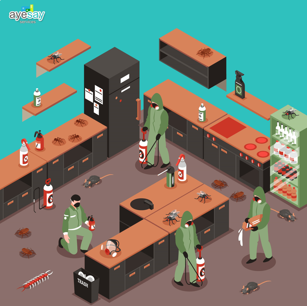 Pest Control Service Reliable pest control service in Yangon, Myanmar.