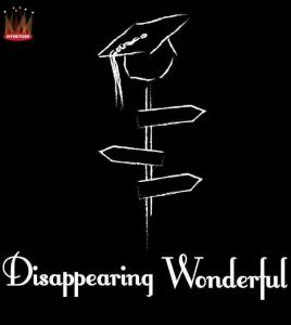 Dissappearing Wonderful