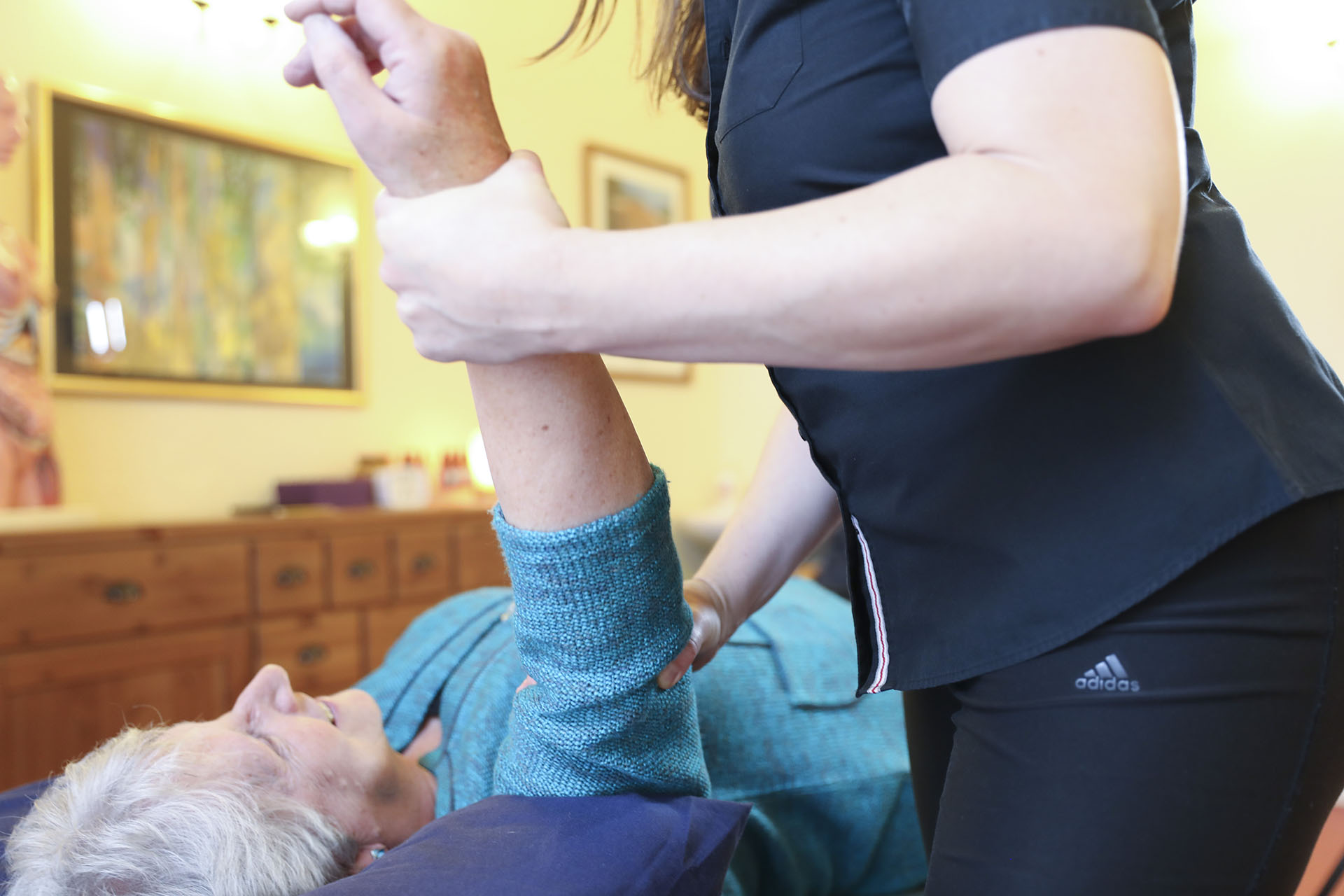 Ayr Chiropractic and Complementary Health Centre