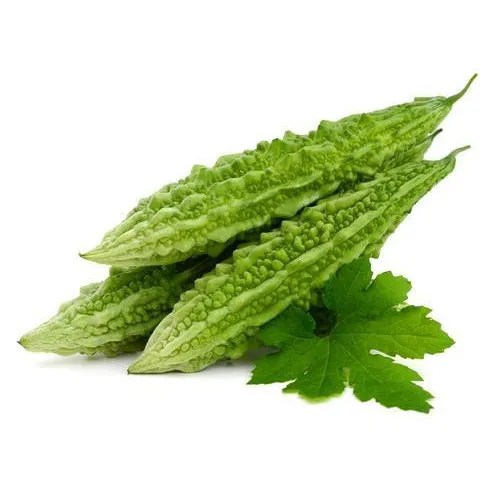 Health Benefits and Uses of Bitter Gourd or Bitter Melon (Karela)