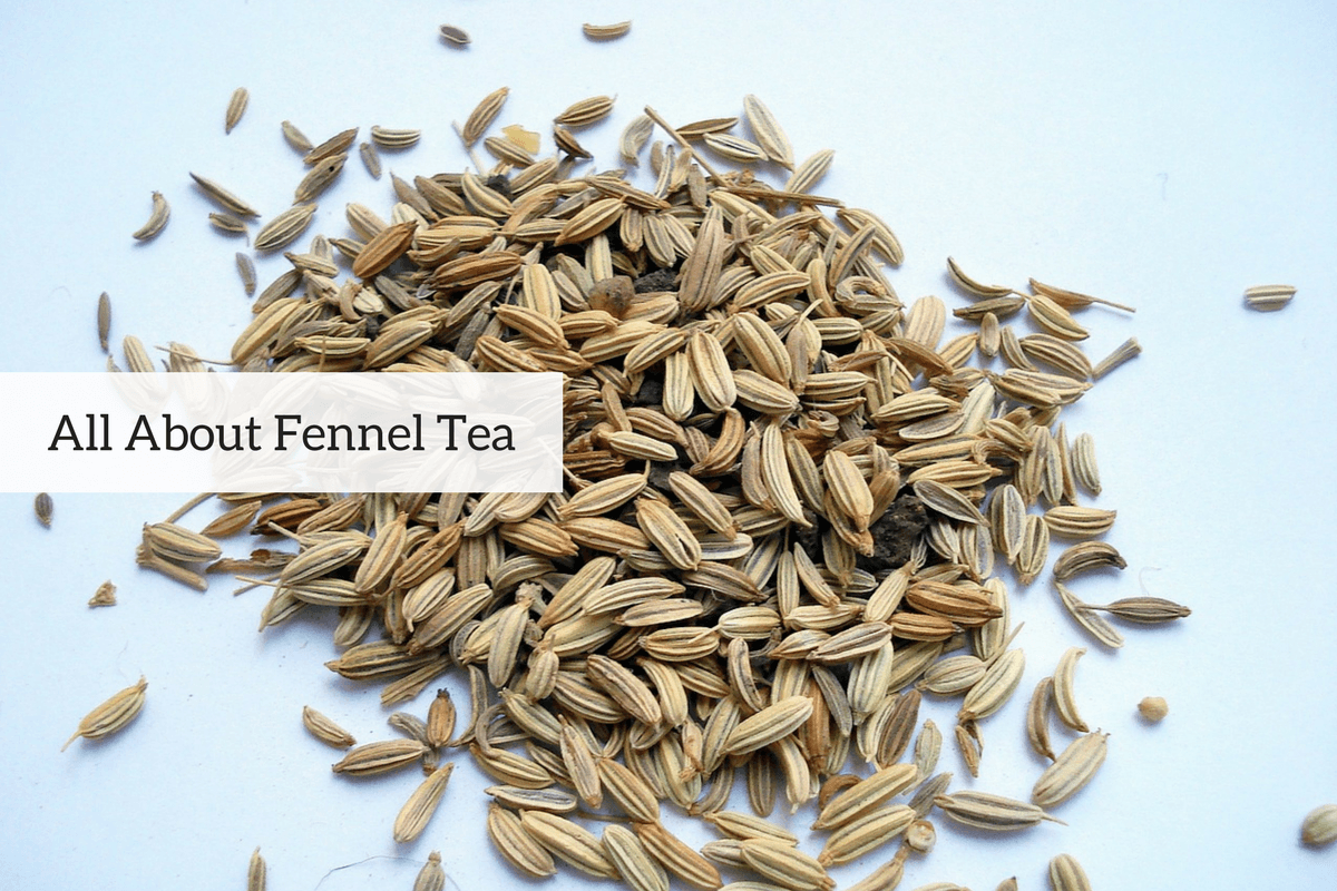 Noteworthy Benefits of Saunf (Fennel) Tea + Recipe and Side Effects