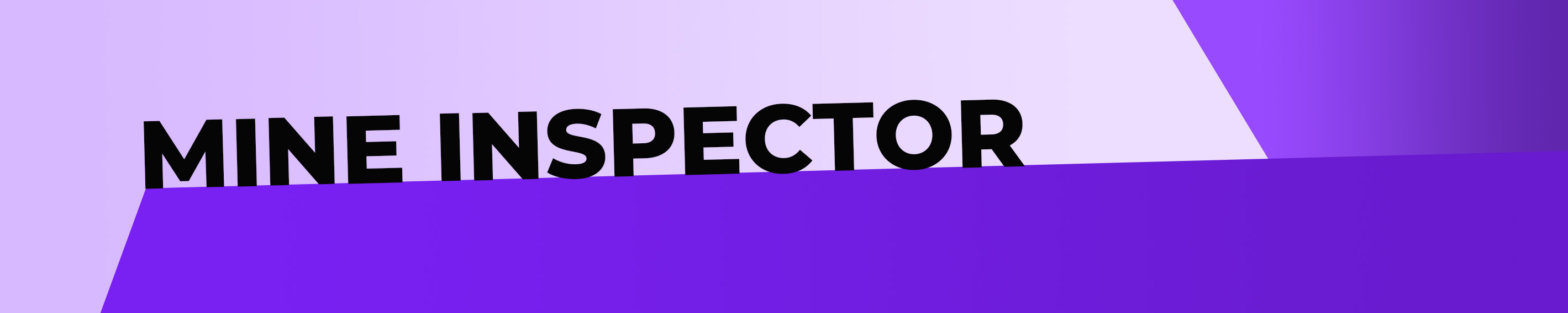 Mine Inspector Citizens Clean Elections Commission