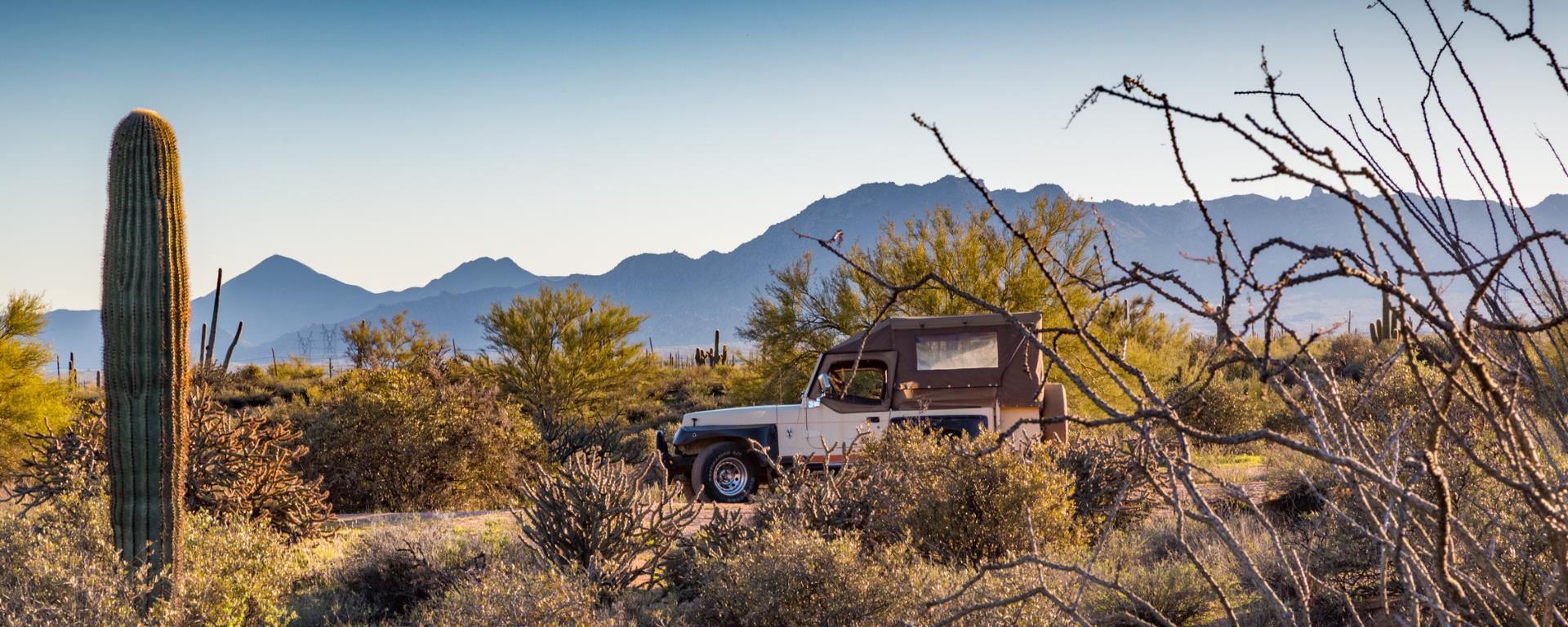 Desert Tours Scottsdale, AZ