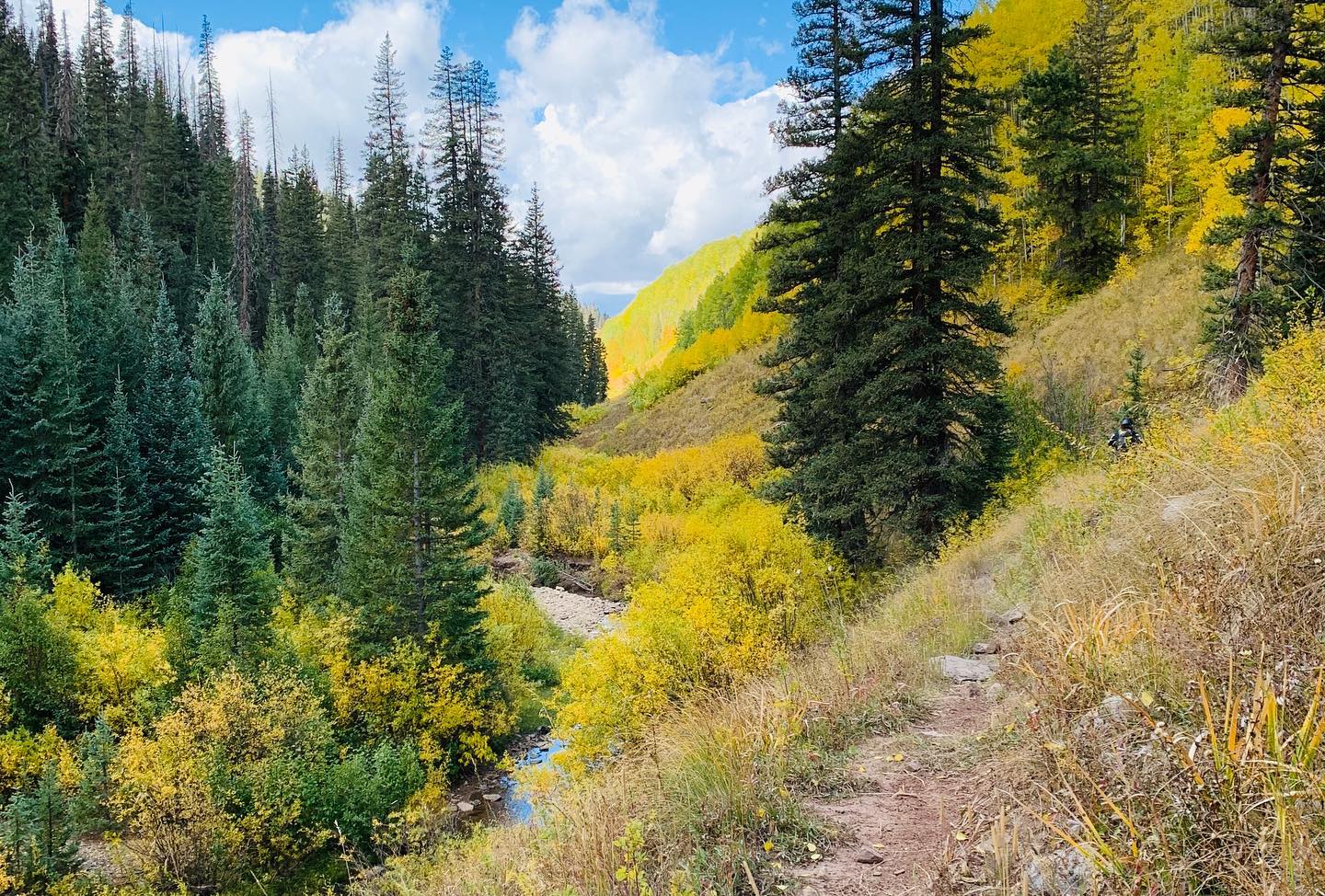 Rico, Colorado AZ Dirt Bike Training