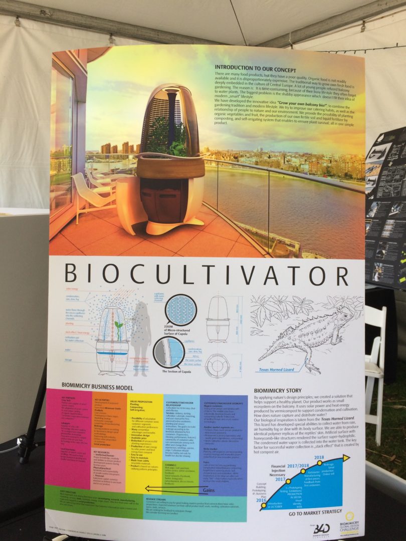 Biomimicry And Social Innovation at All_2