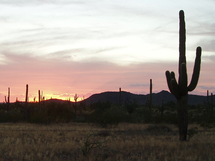 Whispering Ranch Information