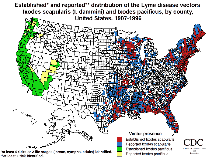 Lyme Disease Diagnosis