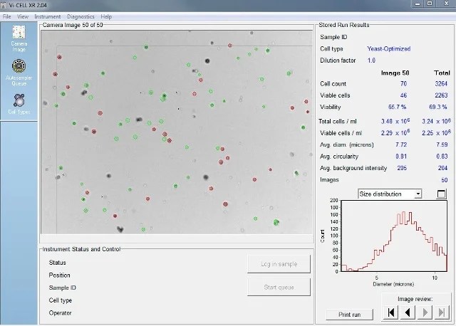 Achieving Consistent Yeast Performance Using Particle Characterization