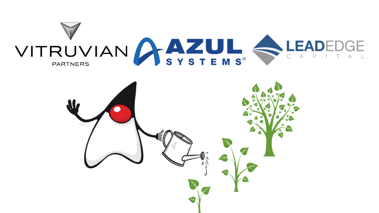 Investing in Java by Vitruvian Partners and Lead Edge Capital