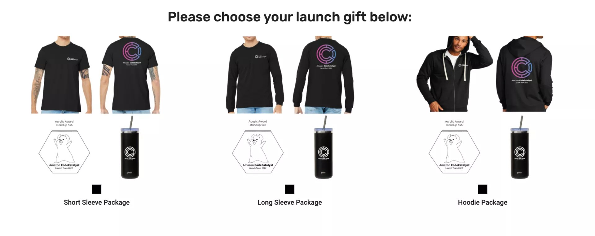 AmazonCodeCatalyst BBAM Seattle Custom Printed TShirts