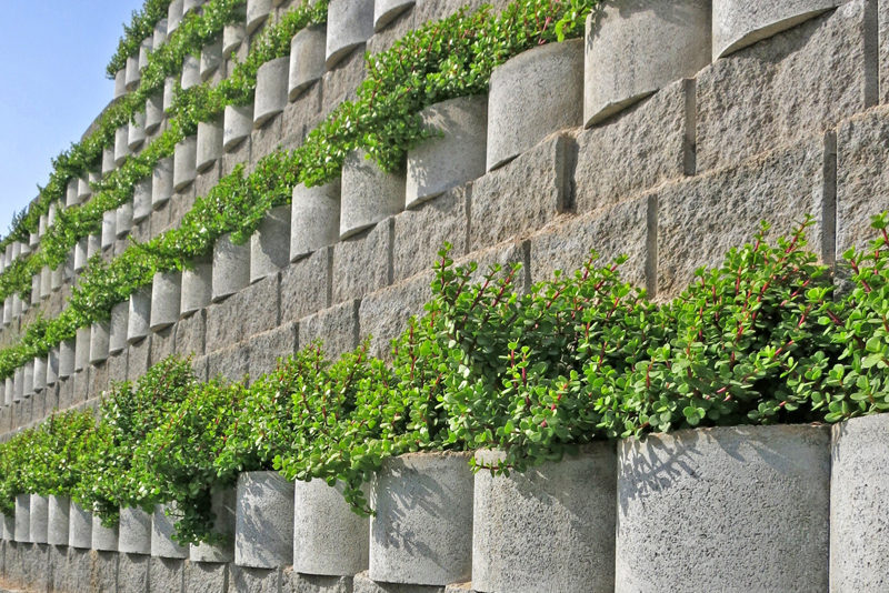 Plants for your Terraforce retaining wall B2B Central