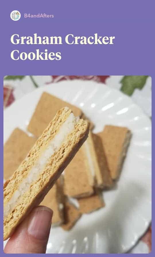 Graham Cracker Cookies B4 and Afters easy diy sandwich cookies