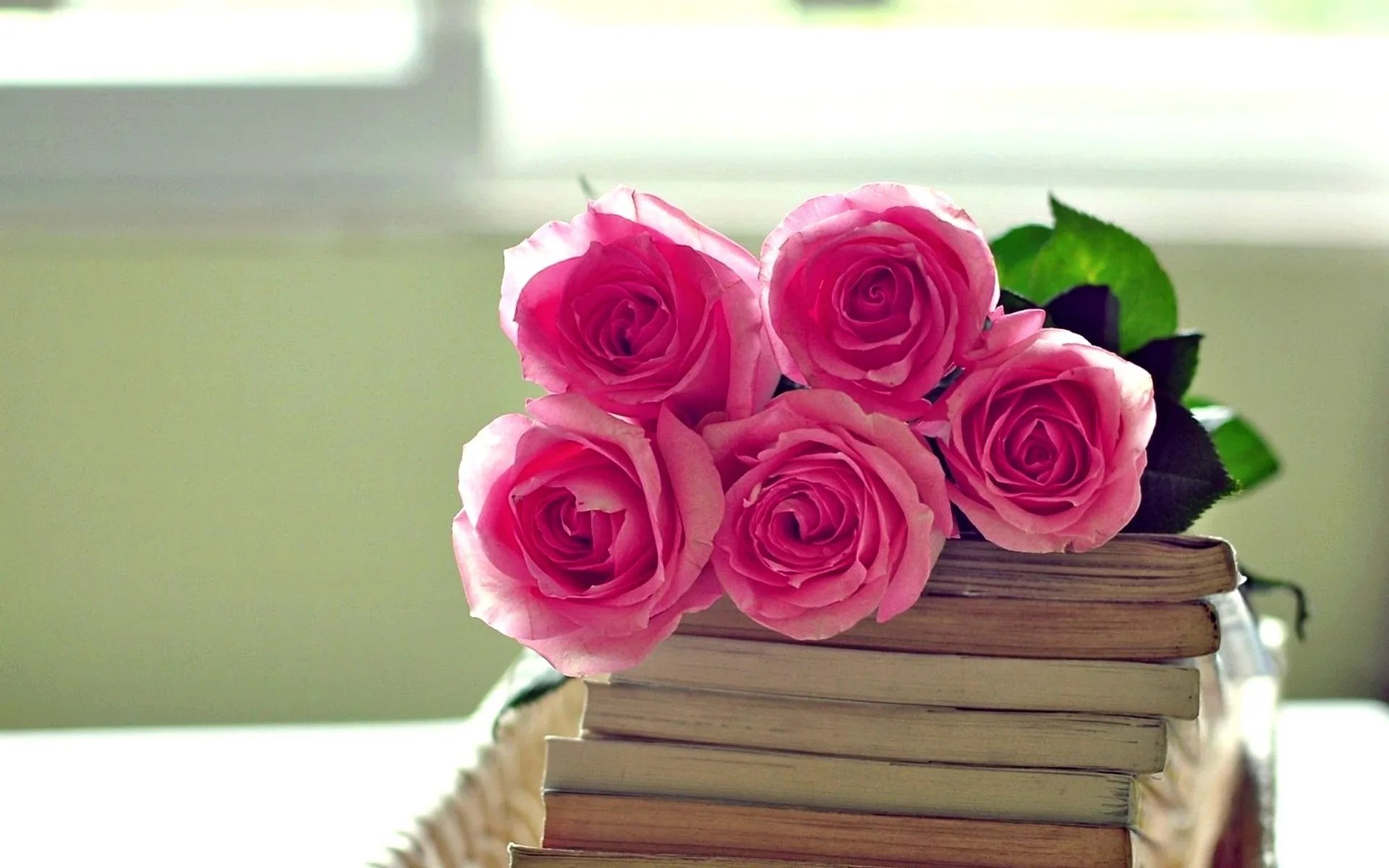 Ava RoseHintergrundbilder Tamil 0sai Minus Tracks M & F Ava