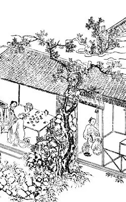 Jin Ping Mei - Babelio