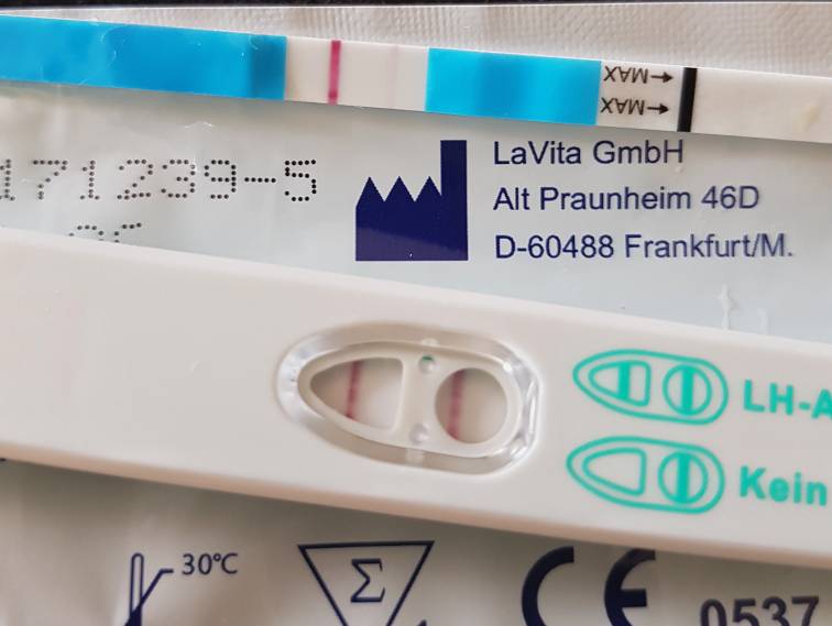 Pozytywny test owulacyjny i ciążowy tego samego dnia