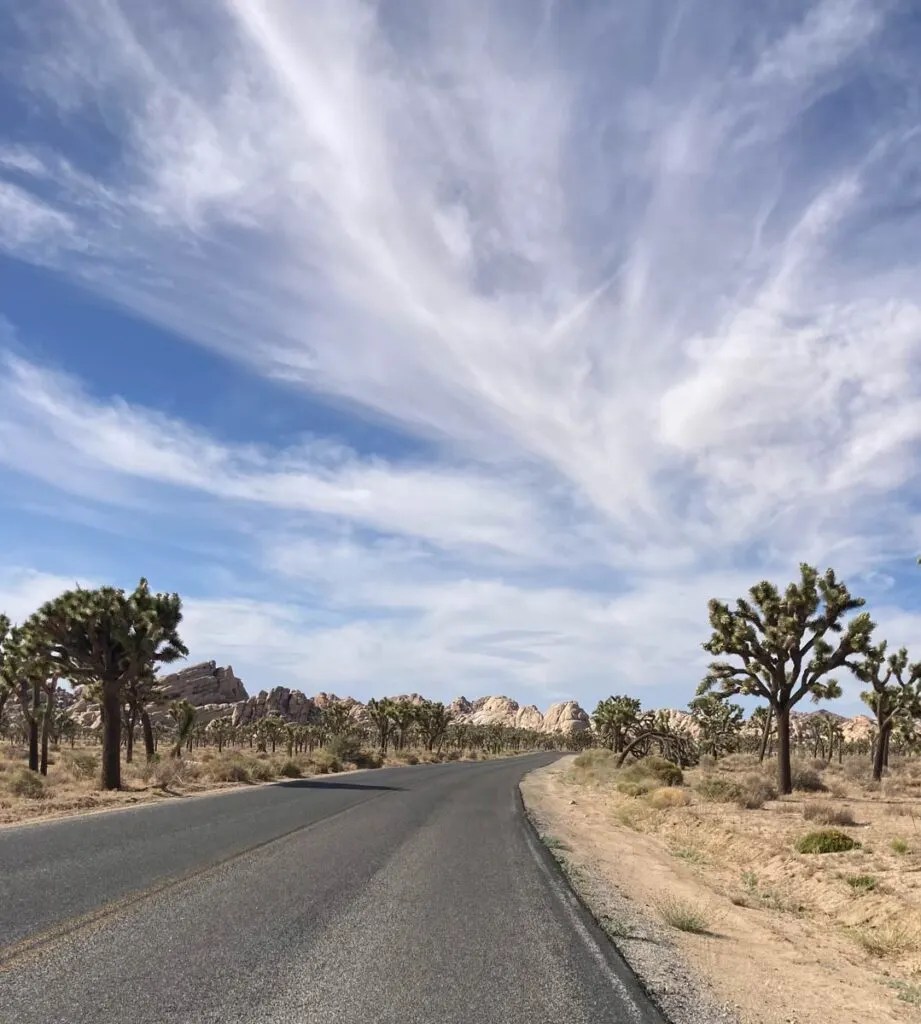 Glamping in Joshua Tree National Park with a Baby Baby Can Travel