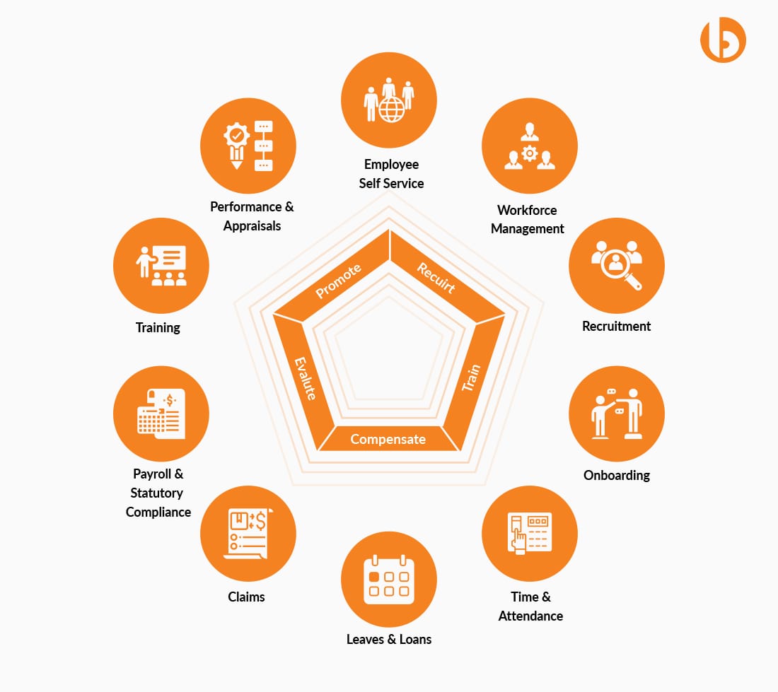 The Components Of A Human Resource Management System Are (Choose All