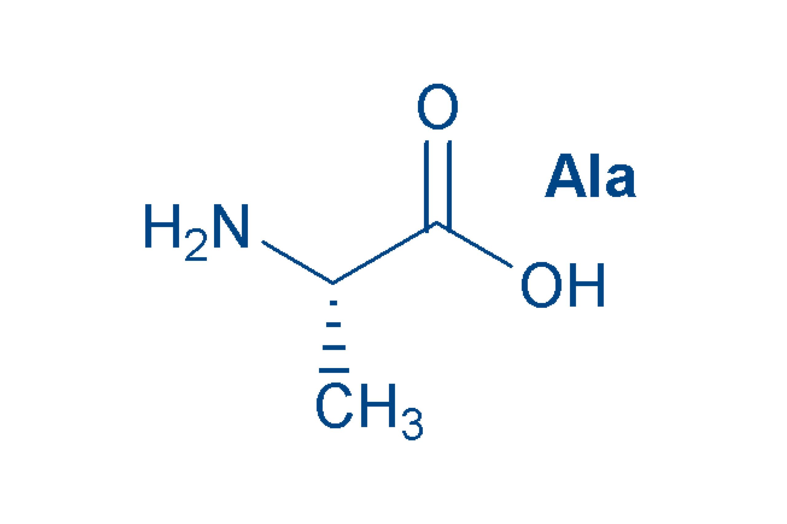 Chart of Amino Acids and its 20 proteinogenic amino acids