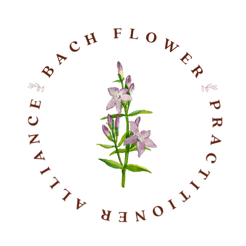 Bach Flower Remedy Practitioner Training at Zachary White blog