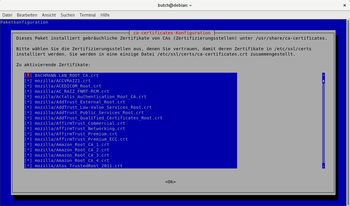 Linux mit eigenen SSL Zertifikaten (ROOT CA installieren) bachmannlan.de