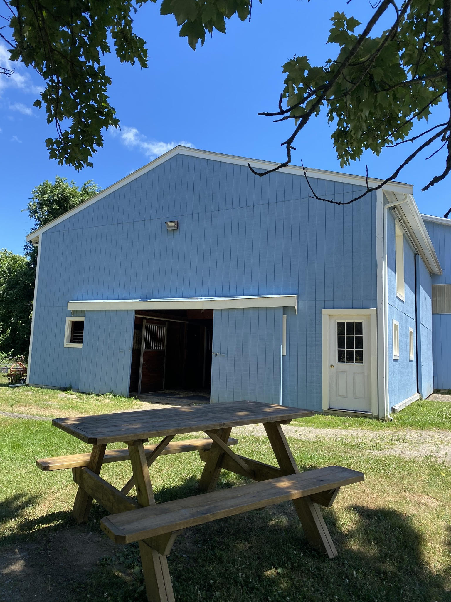 Hunter equitation training and boarding stable Back Bay Farm