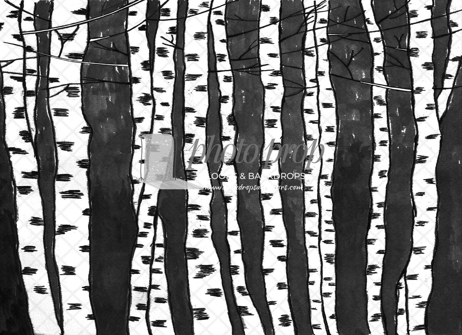 Birch Trees 2Birch Trees 2 (forest, woods)