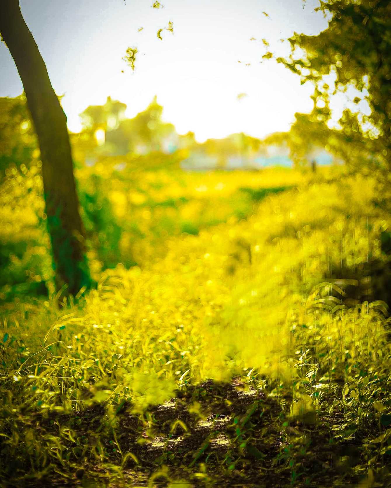 🔥 50+ Best Hd Photo Background Editor Download