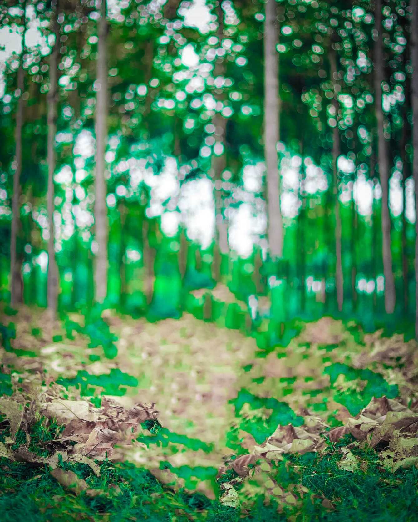 🔥 50+ Best Hd Photo Background Editor Download