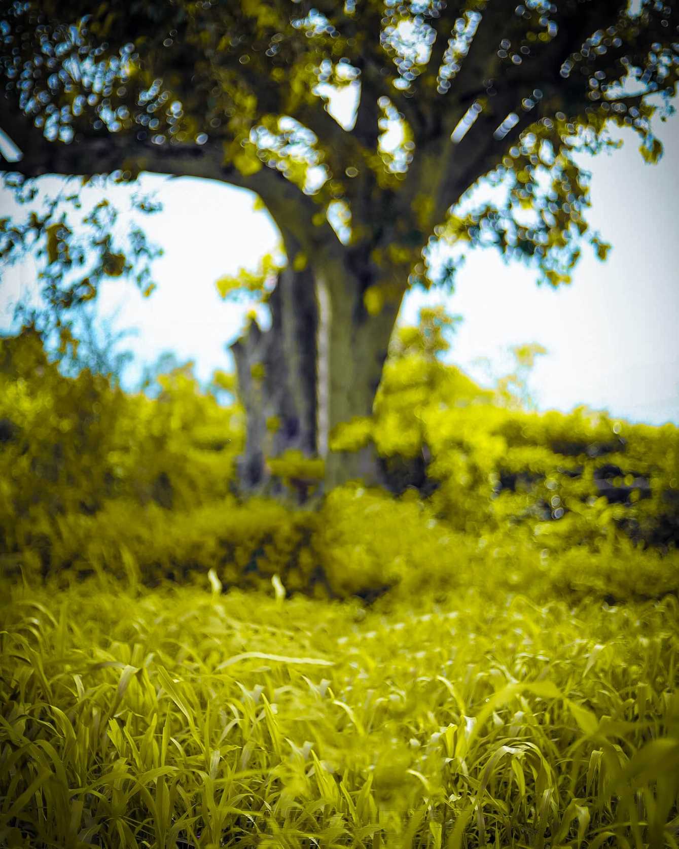 🔥 50+ Best Hd Photo Background Editor Download