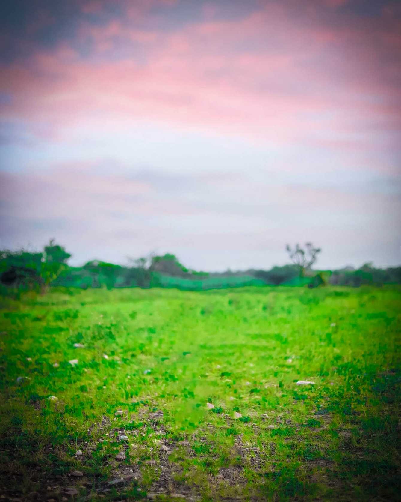 🔥 50+ Best Hd Photo Background Editor Download