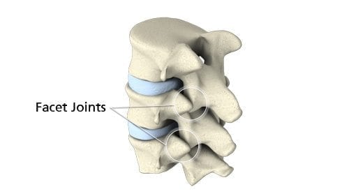 Back Pain Treatment Chiropractic Treatment for Back Pain Back in Form