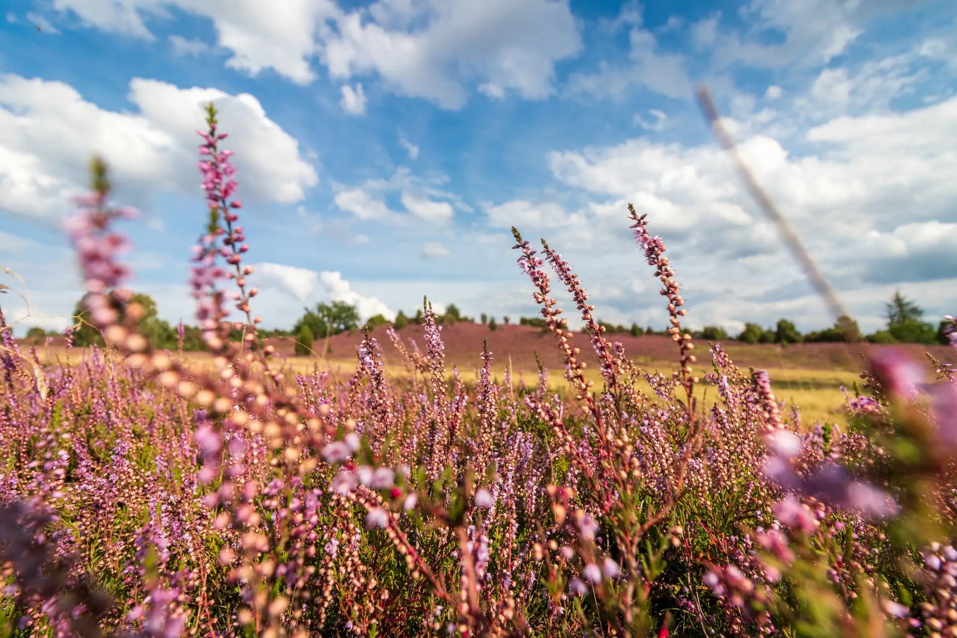 Urlaub in Niedersachsen Regional reisen Backpackertrail