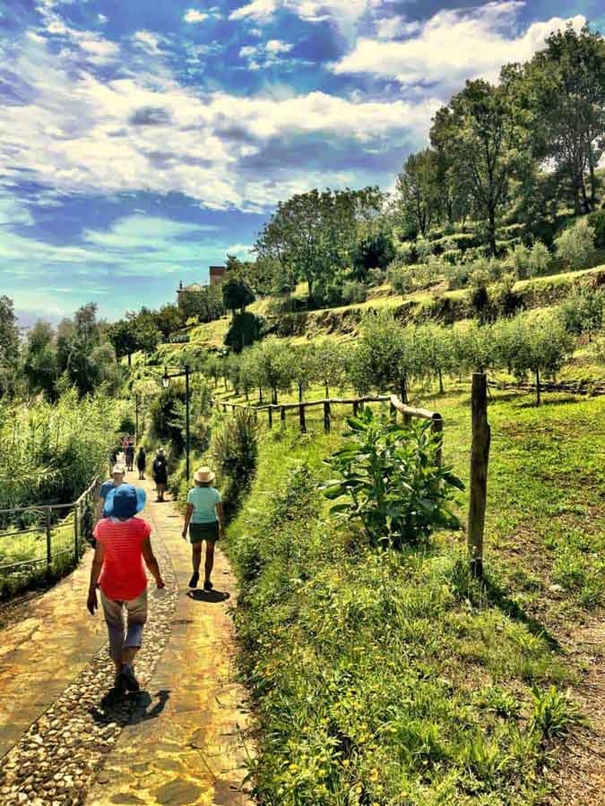 Backroads Leaders A Guest's Perspective Backroads