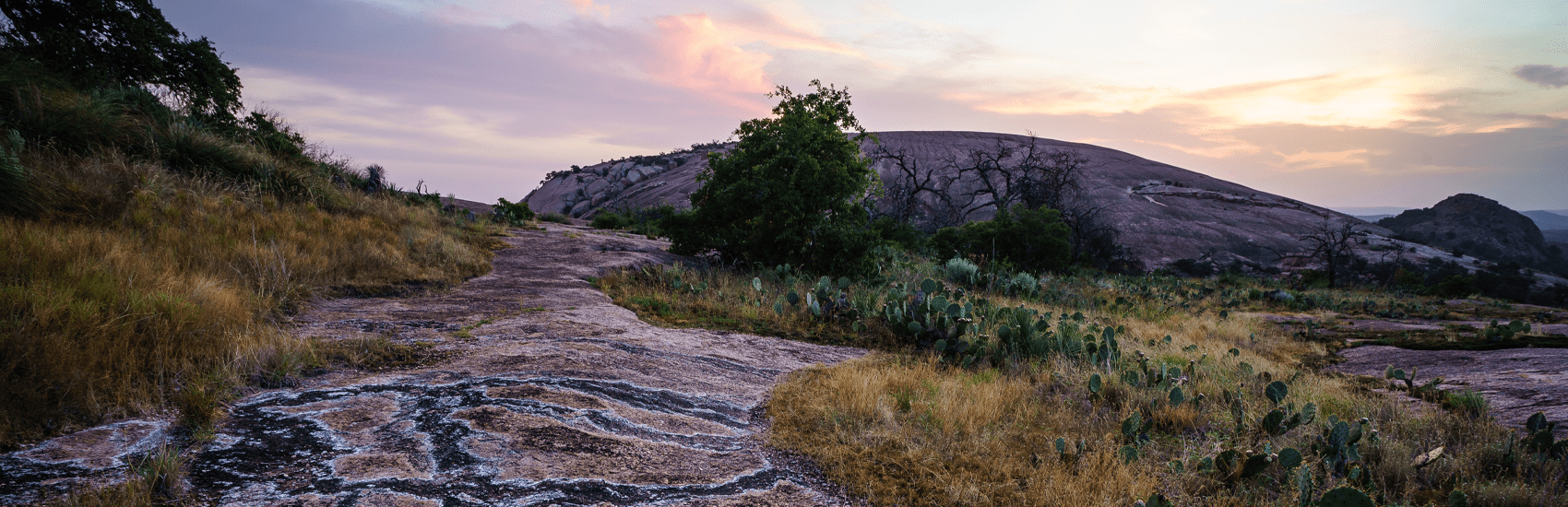Are Dogs Allowed At Enchanted Rock