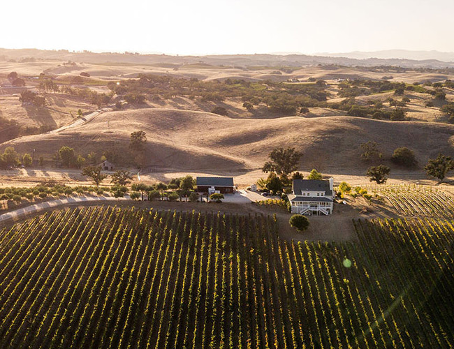 Ella's Vineyard Back Roads Wineries of Paso Robles