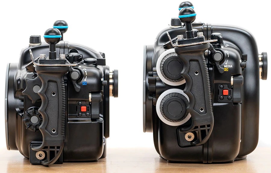 Info Canon R5 vs Canon R5C Underwater Review The best underwater