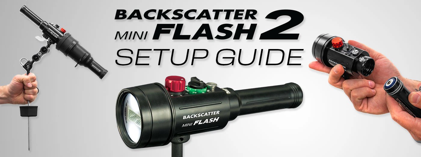 Backscatter Mini Flash 2 HowTo Guide Underwater Photography