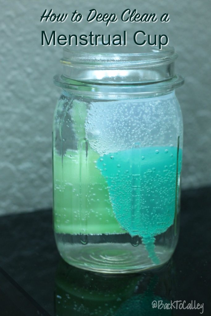 How to Clean a Menstrual Cup — A Tampa Lifestyle, Travel