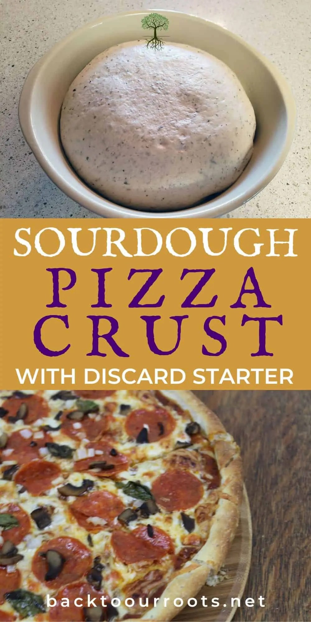 Sourdough Discard Pizza Dough Quick