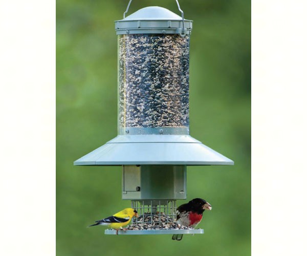 Bird food dispenser Home & Living Outdoor & Gardening