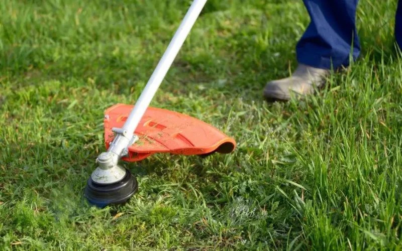 How To Cut Grass Without a Lawnmower (6 Creative Ways) Backyard Caring