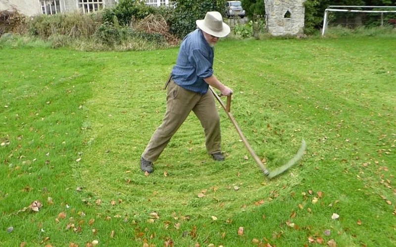 How To Cut Grass Without a Lawnmower (6 Creative Ways) Backyard Caring