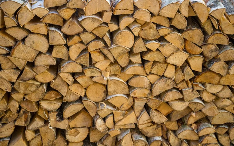 Is Kiln Dried Wood Safe to Burn? (What You Must Know) Backyard Caring